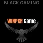 WINPKR Game logo