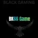 BK66 Game logo