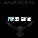 pk999 game new logo