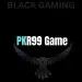 pk999 game new logo