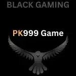 pk999 game logo