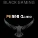 pk999 game logo
