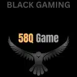 58Q Game logo