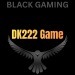 DK222 game logo