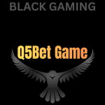 Q5Bet Game logo