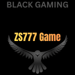 ZS777 game logo